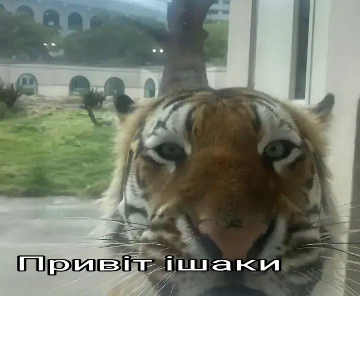 l4n3r avatar