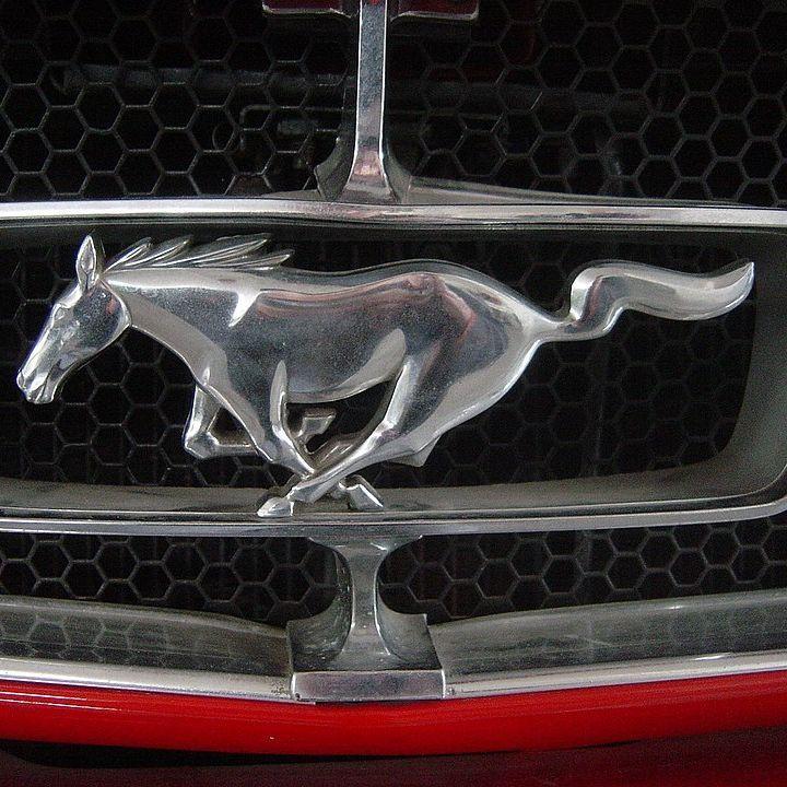 Mustang17
