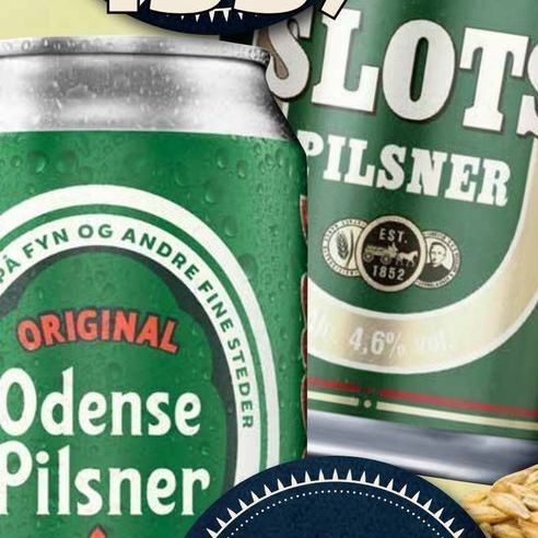Slots og Odense