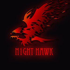 Player 8N1GHT_HAWK8 avatar