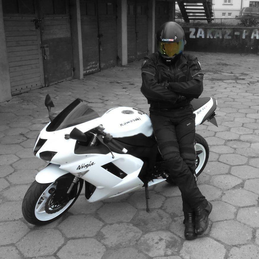 Espanioll avatar