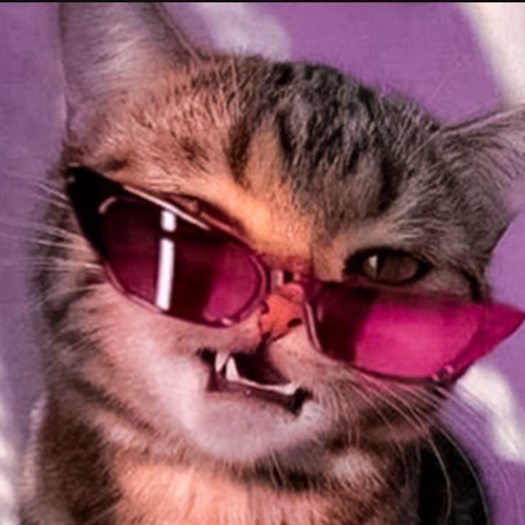 rafiboss avatar