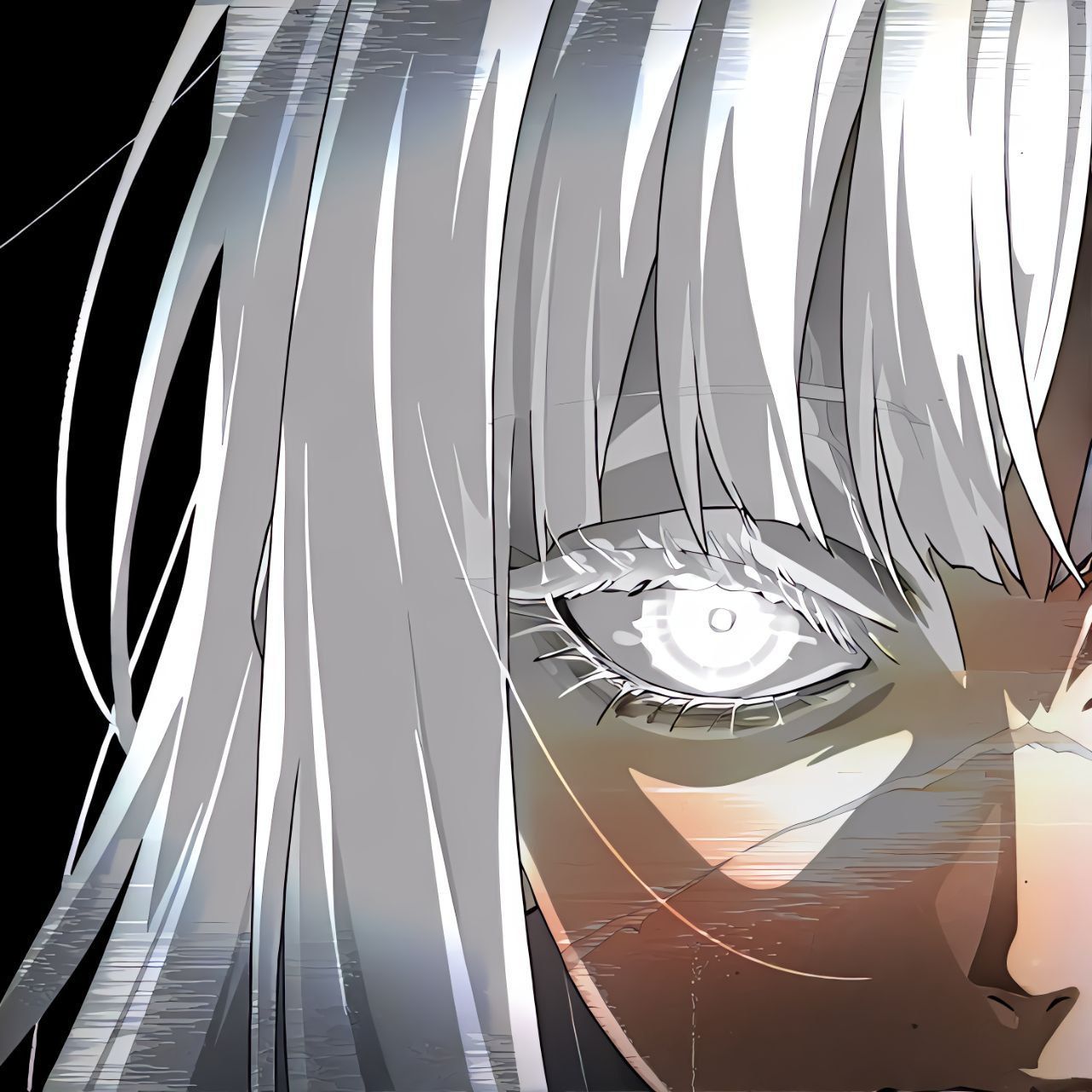 witijirs avatar