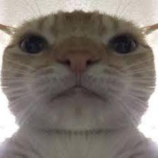 GfyBTW avatar