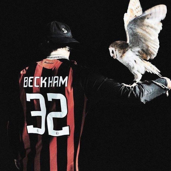 beckh4m avatar