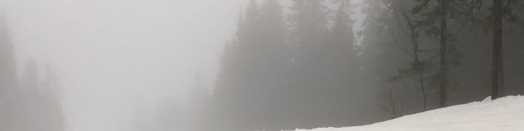 Faceit banner for @hottie