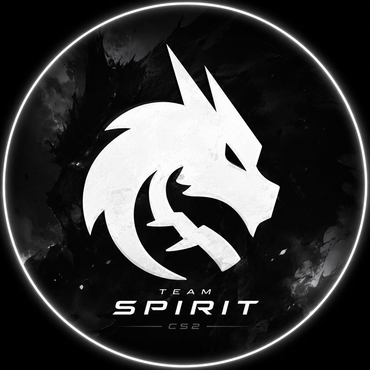 donk666CASES FACEIT avatar