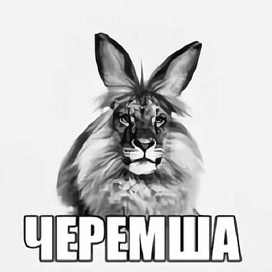 Perfect_AS