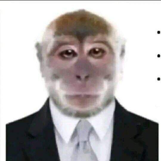 Shand1k86 avatar