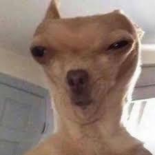 cheitochel