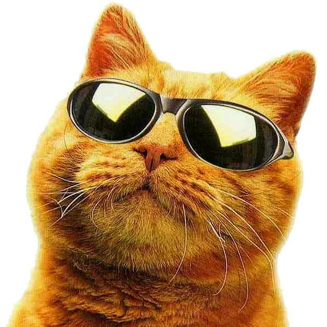 PASKUDAS FACEIT avatar