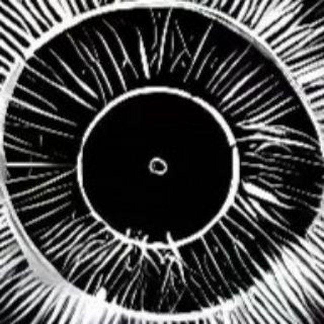 Xaliky_Desq avatar