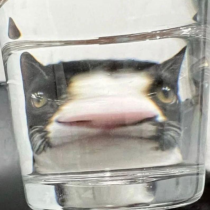 TheCatTom avatar