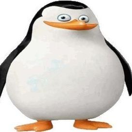 dokqri