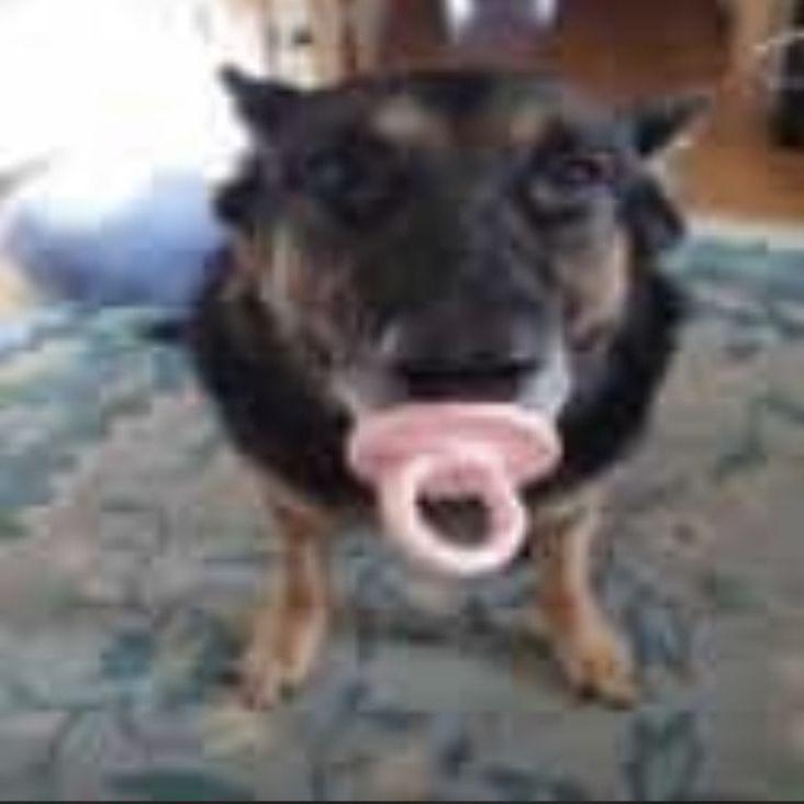 ChepyshiIa avatar