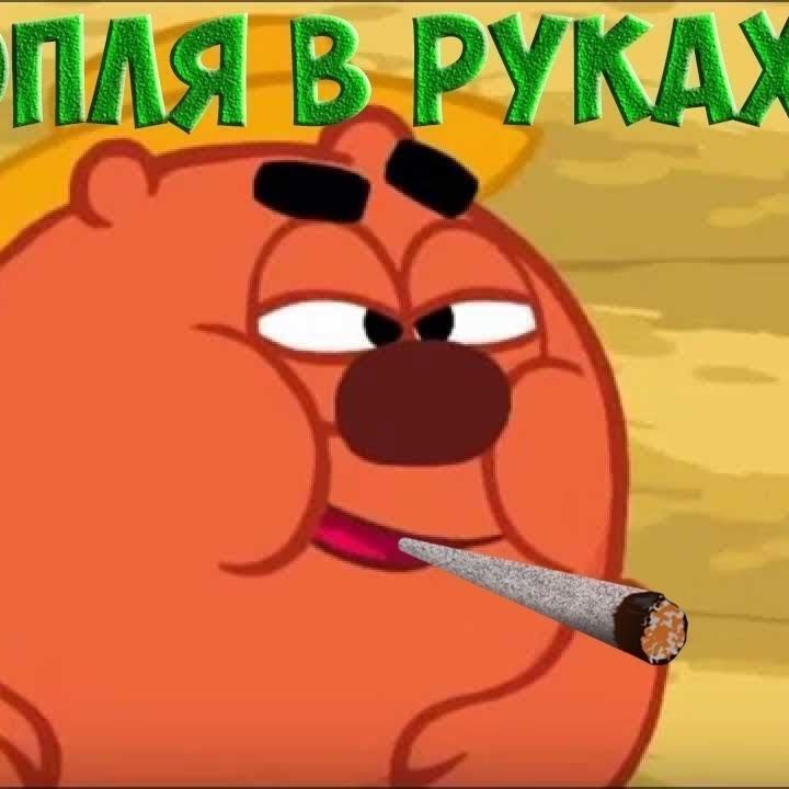 shayok1