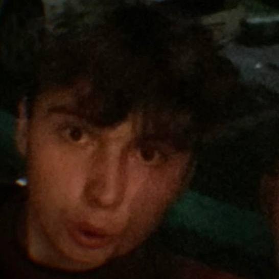 3pal avatar