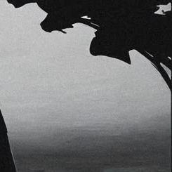 blackiwulf avatar