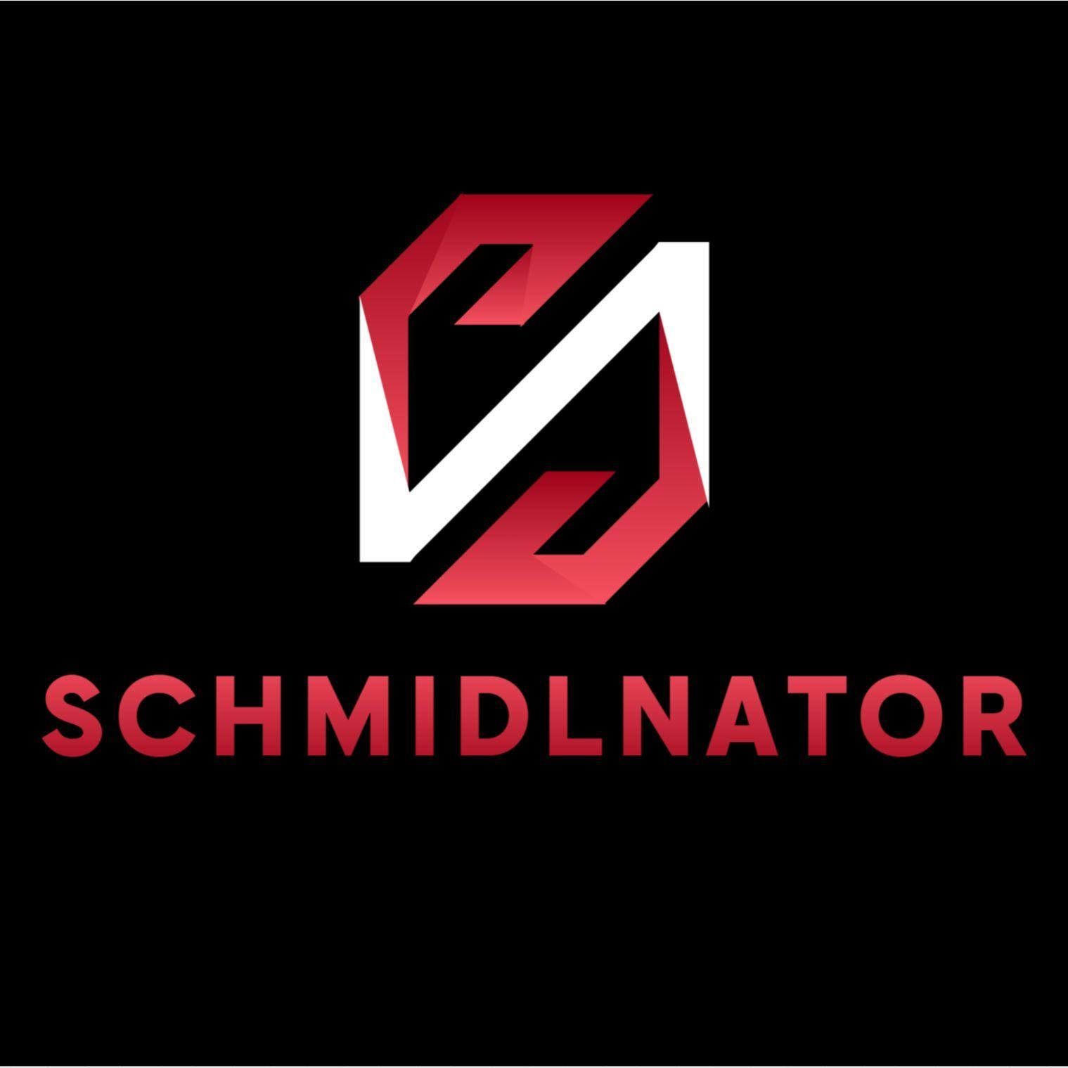 Player SchmidlNator avatar