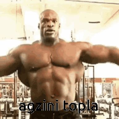 gaspik_