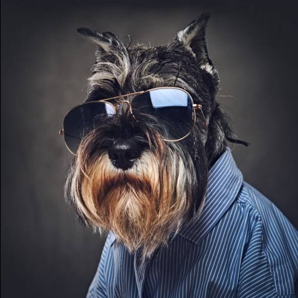 cxntress avatar