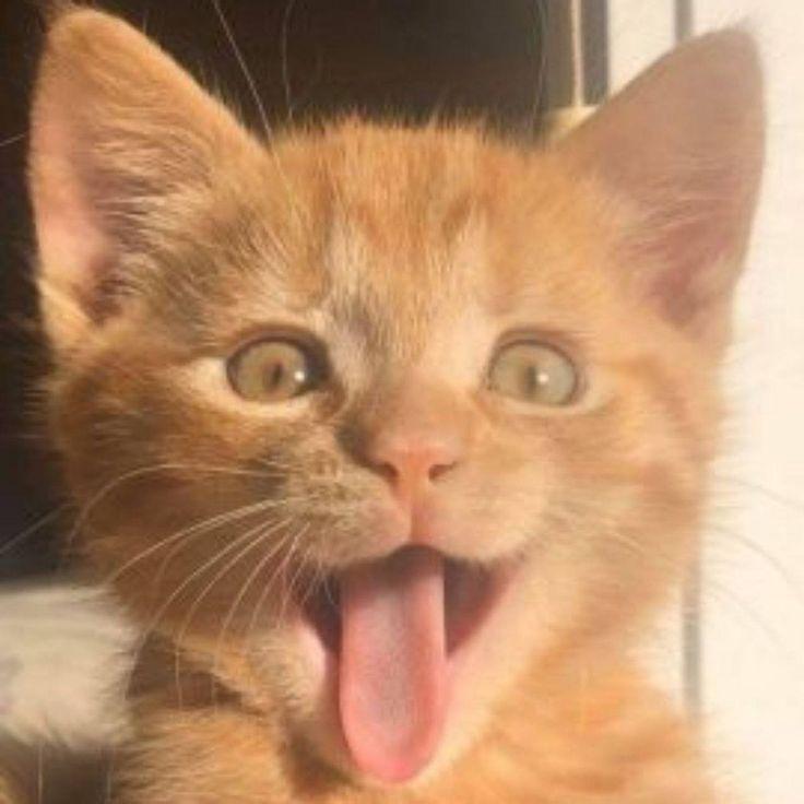 akruym avatar