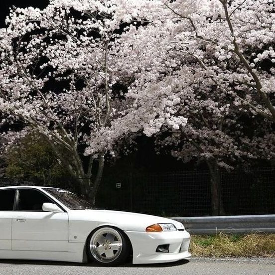 _s0nE-