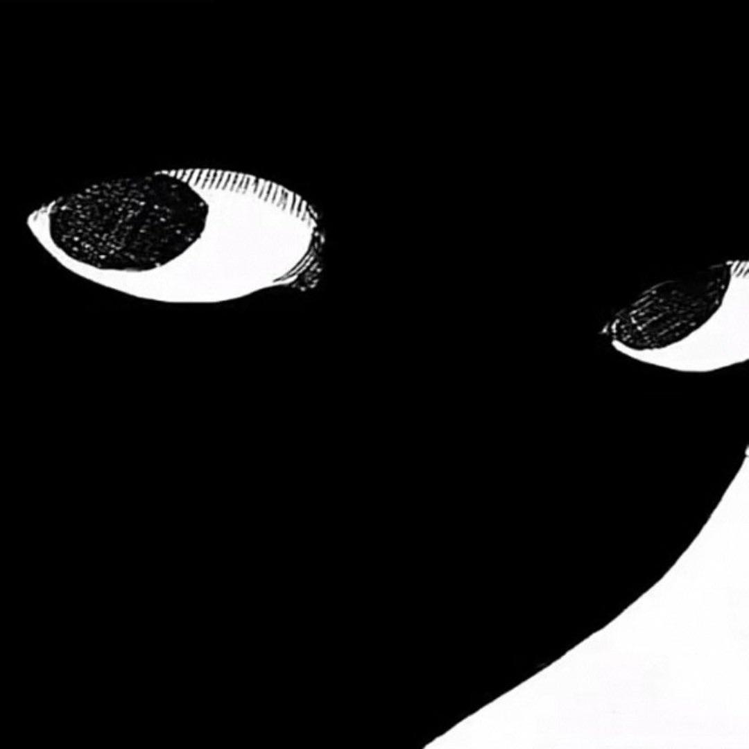 sakapower avatar