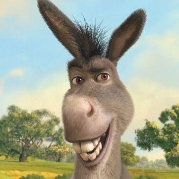 Player --Donkey-- avatar