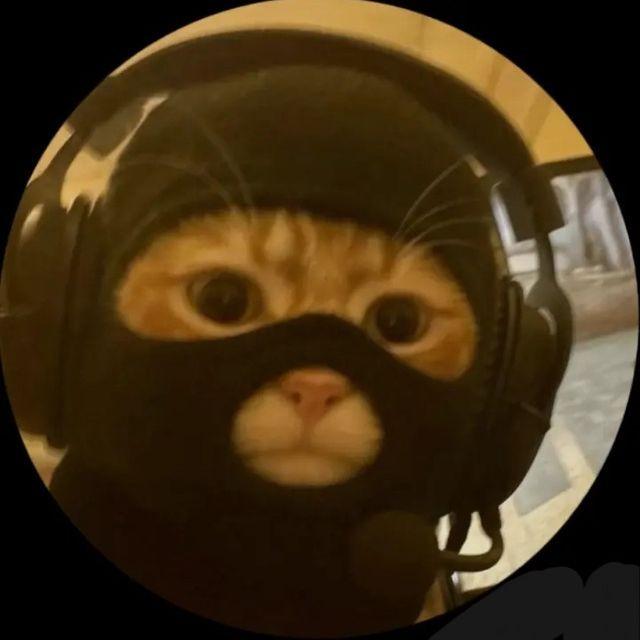 tw-neeesti37 avatar