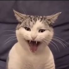 Tratatunai