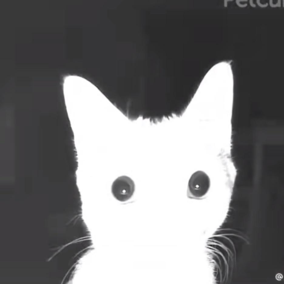 jultr6 avatar
