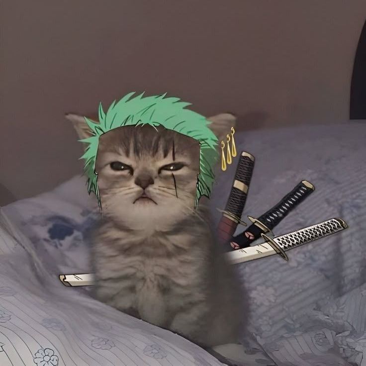 JanGo_ManGo1