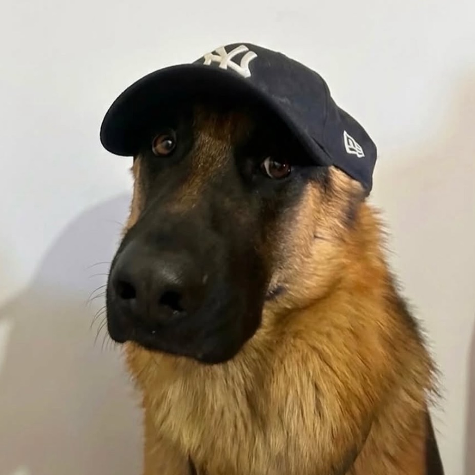 ICHIRAKYY