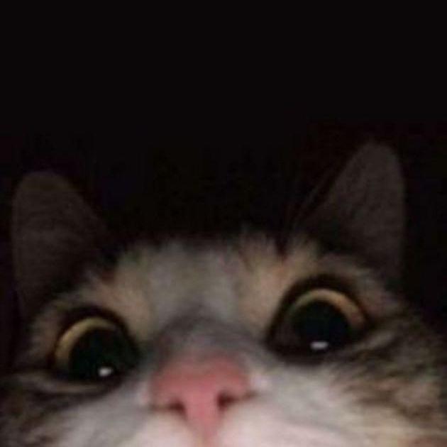 Schymek avatar