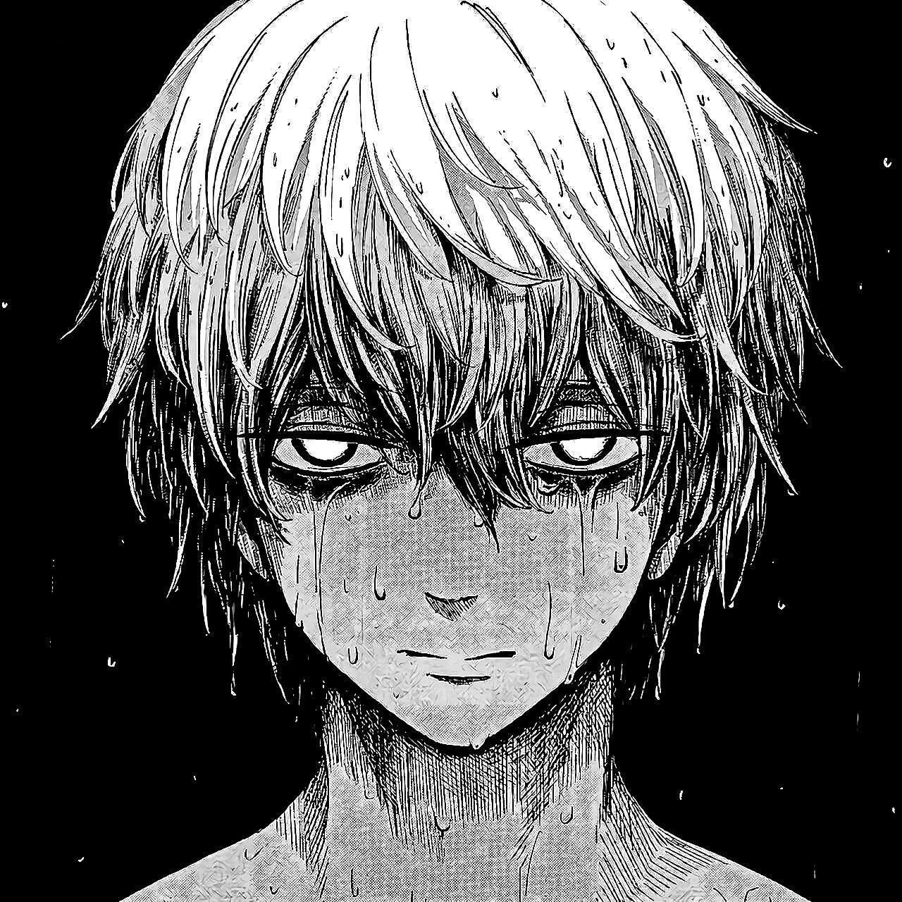 Sachio avatar