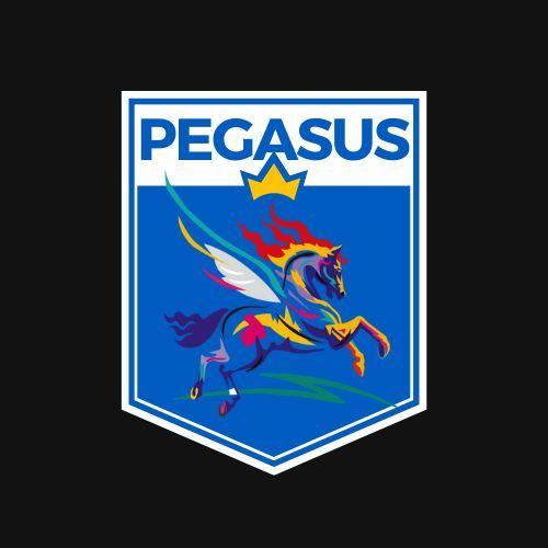 Team PEGASUS