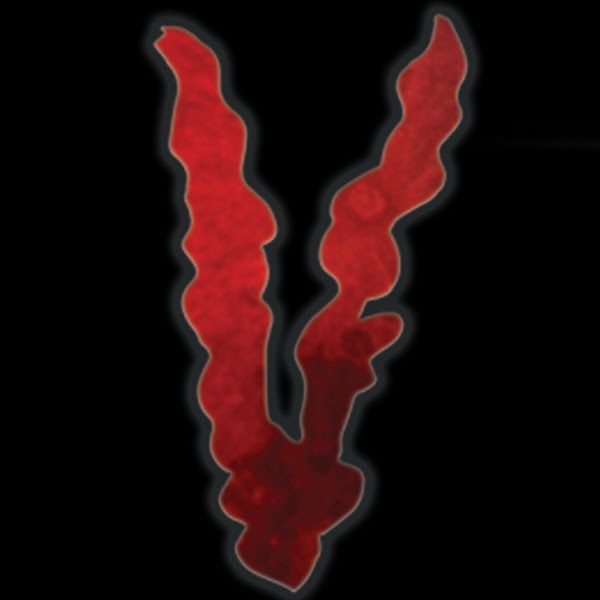 Vondri