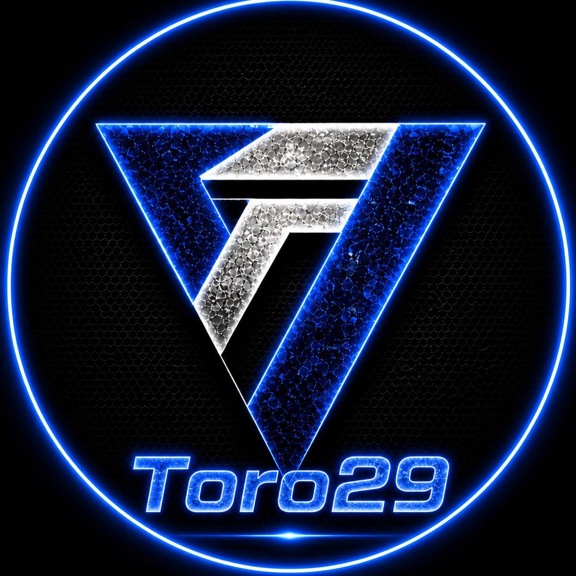 Toro29