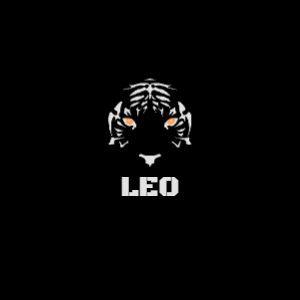 Player LE0-0 avatar