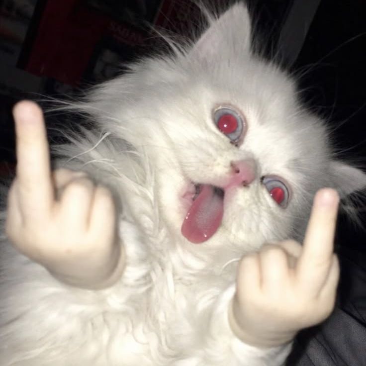destroyerr39