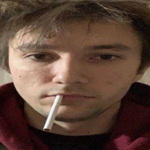 t0xyq avatar