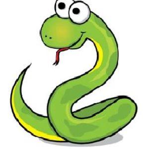 SnakeforSkin avatar