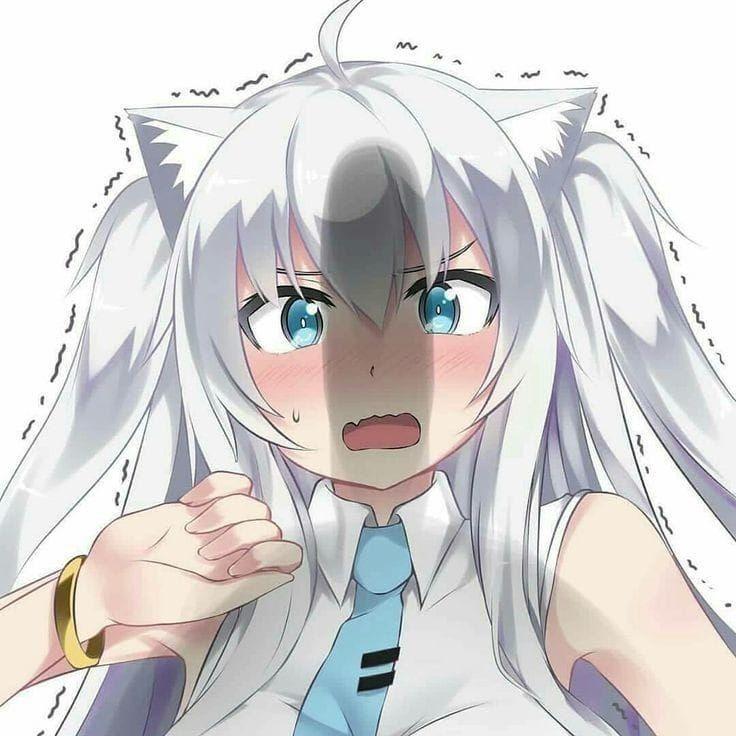 shikonokoo avatar
