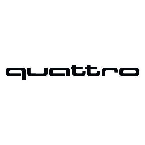 Player 4xQuattro avatar