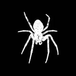 -spid3r- avatar