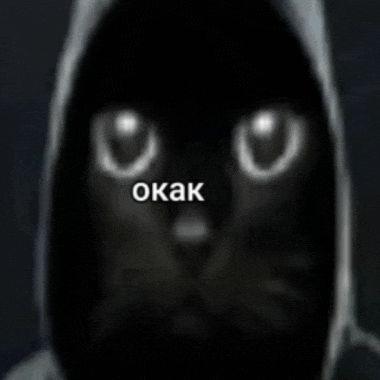 BJIAVTEJINH avatar