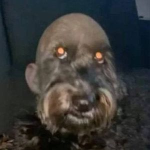 Naramzu
