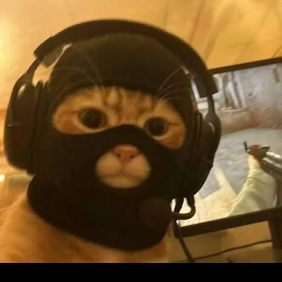 RomK