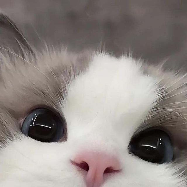 LI5T